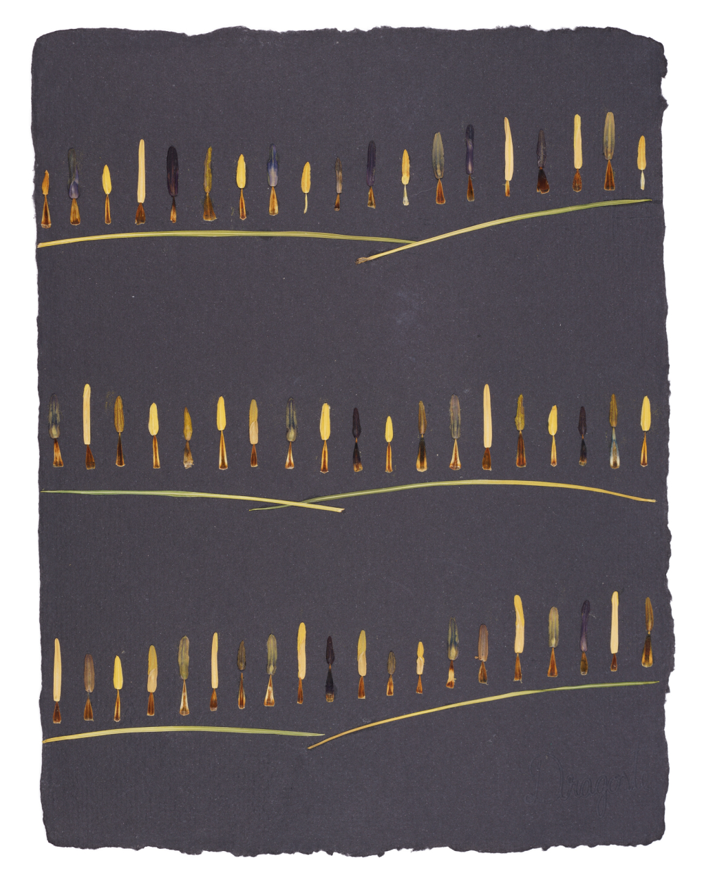 Calatoria -  set 2 printuri de arta cu flori presate traditional, hartie premium, inramat, dimensiuni personalizate, cadou ideal pentru casa [3]