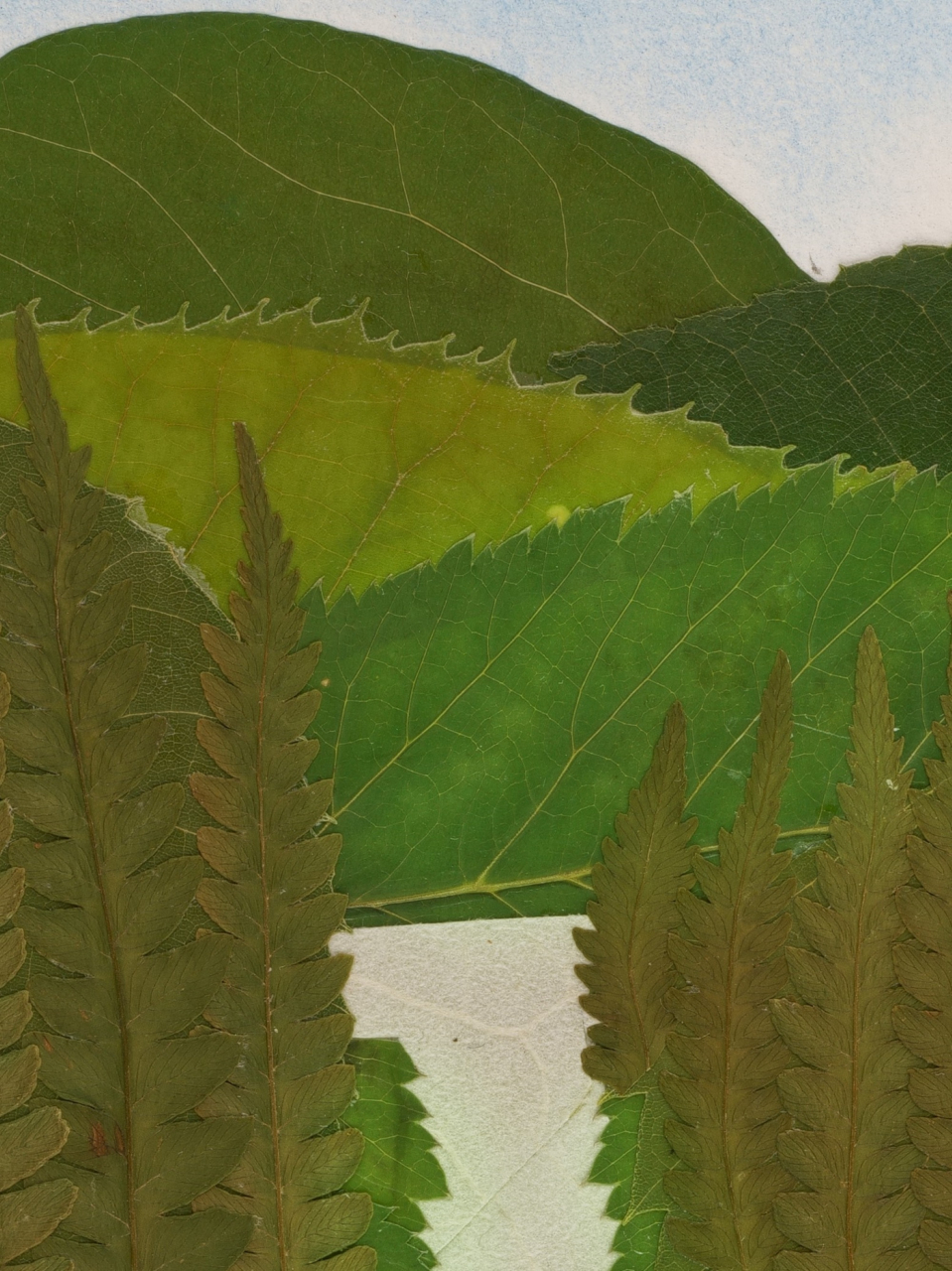 Vacanta - print de arta cu flori presate traditional, hartie premium, inramat, dimensiuni personalizate, cadou ideal pentru casa [4]