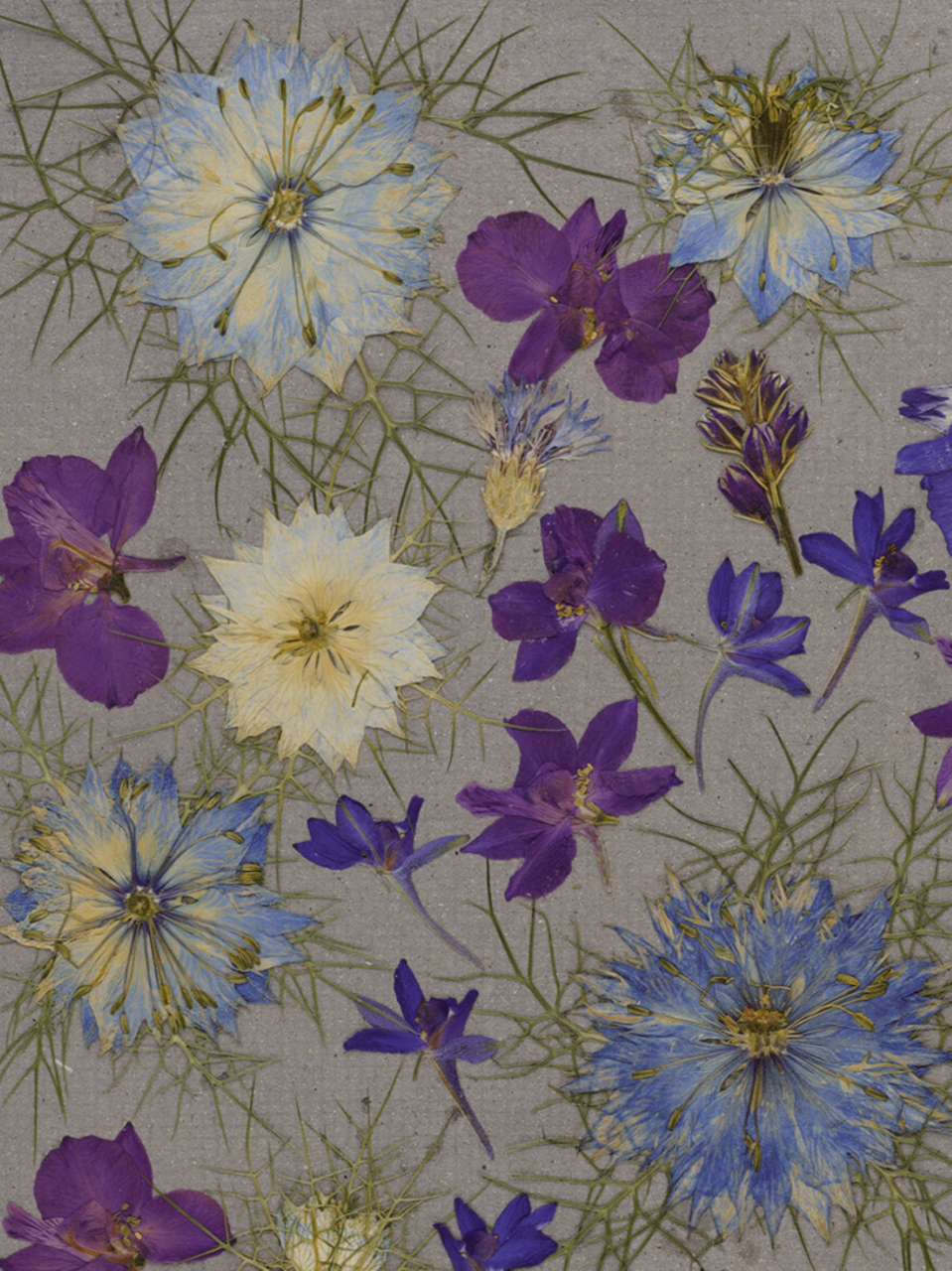 Vis de iarna - print de arta cu flori presate traditional, hartie premium, inramat, dimensiuni personalizate, cadou ideal pentru casa [4]