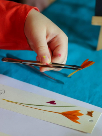 Ateliere creative - Atelier creativ pentru copii - disponibil cu programare