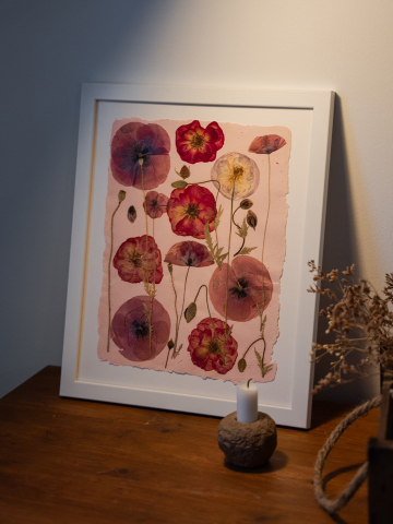 Printuri de arta - Camp cu maci - print de arta cu flori presate traditional, hartie premium, inramat, dimensiuni personalizate, cadou ideal pentru casa