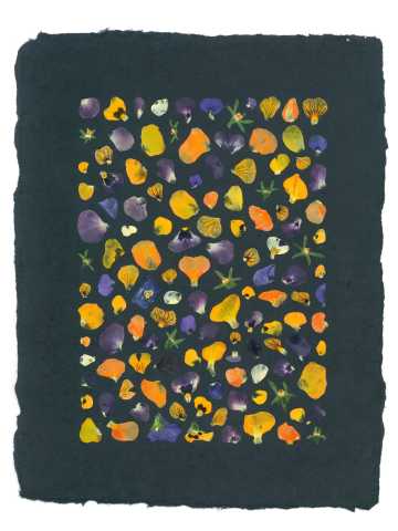 Produse - Coral - print de arta cu flori presate traditional, hartie premium, inramat, dimensiuni personalizate, cadou ideal pentru casa