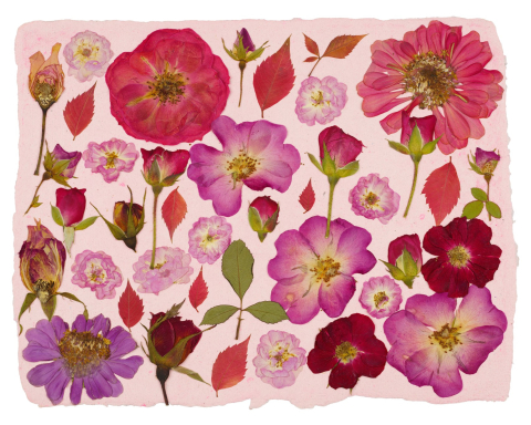 Produse - Gradina cu trandafiri - print de arta cu flori presate traditional, hartie premium, inramat, dimensiuni personalizate, cadou ideal pentru casa