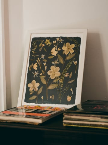 Printuri de arta - Helleborus - print de arta cu flori presate traditional, hartie premium, inramat, dimensiuni personalizate, cadou ideal pentru casa
