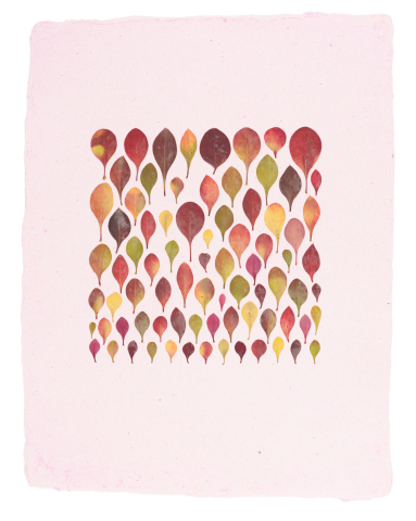 Produse - Pastel - print de arta cu flori presate traditional, hartie premium, inramat, dimensiuni personalizate, cadou ideal pentru casa