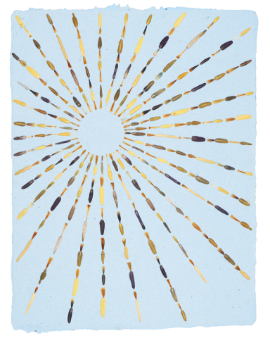 Produse - Soare - print de arta cu flori presate traditional, hartie premium, inramat, dimensiuni personalizate, cadou ideal pentru casa