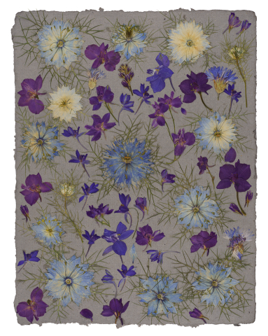 Produse - Vis de iarna - print de arta cu flori presate traditional, hartie premium, inramat, dimensiuni personalizate, cadou ideal pentru casa