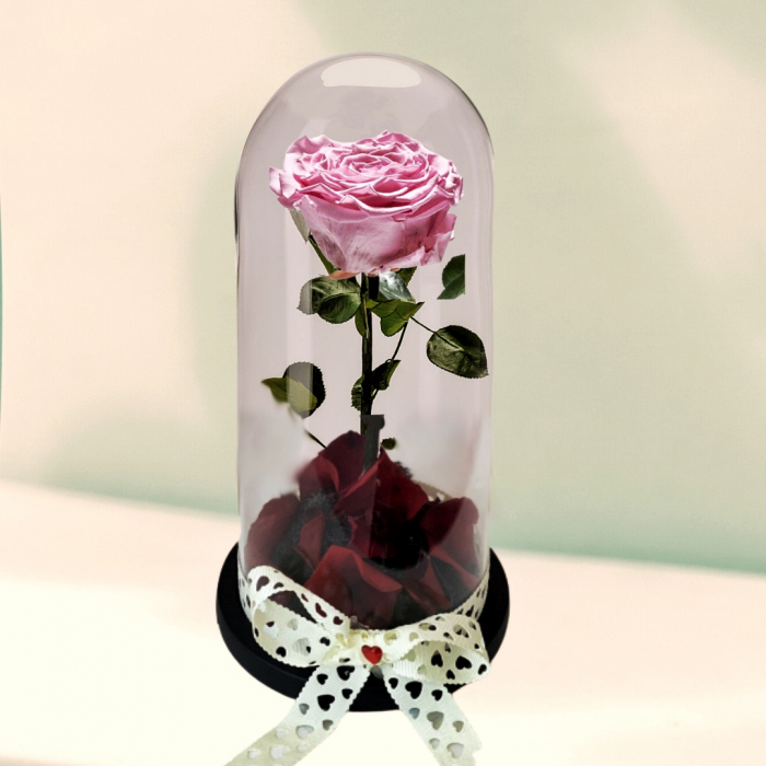Trandafir criogenat - T9 [1]