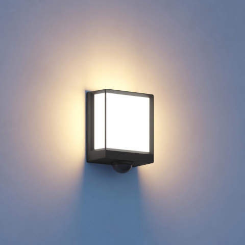 Lampa de exterior LED L 40 SC cu senzor de miscare si bluetooth [2]