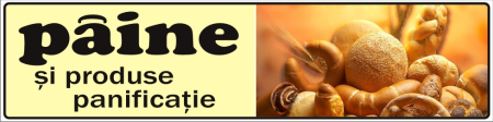 Placute PVC - Paine 80x20cm