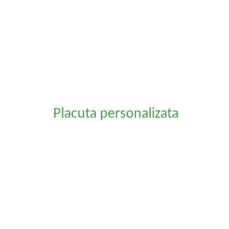 Produse la comandă - Placute personalizate la cerere