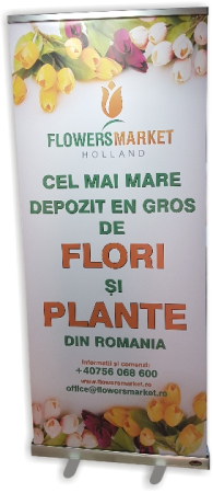 Sisteme afisaj - Roll up Premium