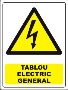 Tablou electric general 20x15cm
