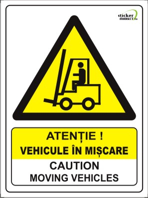 Bilingve - Vehicule in miscare 20x15cm