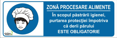 Zona procesare 30x10cm