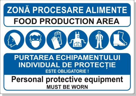 Bilingve - Zona procesare echipament 30x20cm