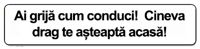 Breloc personalizat cu numar auto, Crom/Argintiu [2]