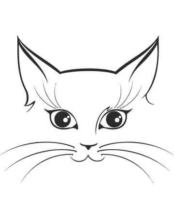 Diverse - Sticker Auto Kitty, Alb, 15 cm