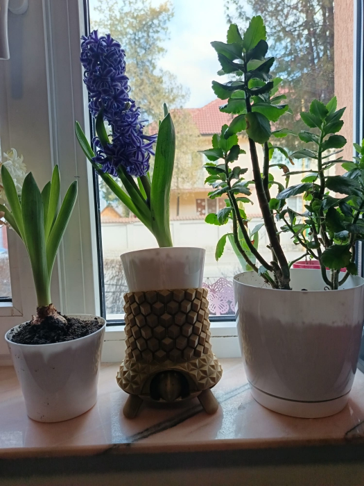 broasca-testoasa-aurie-3d-vaza-ghiveci-decorativ [10]