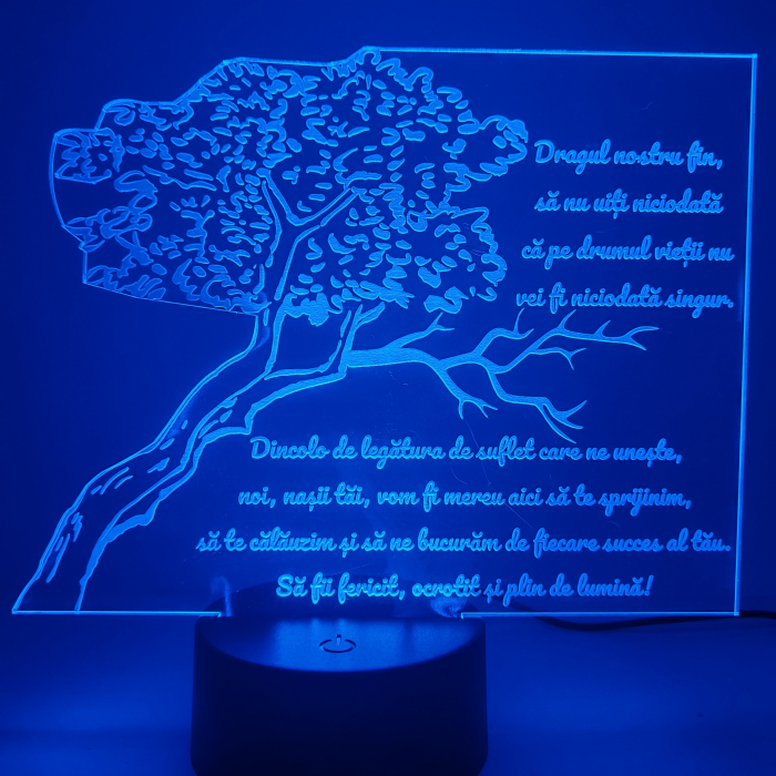 lampa-3d-pentru-fin-cadou-nasi-16-culori.webp [8]