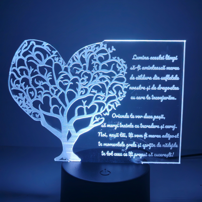 lampa-3d-pentru-fini-cadou-nasi-16-culori.webp [10]