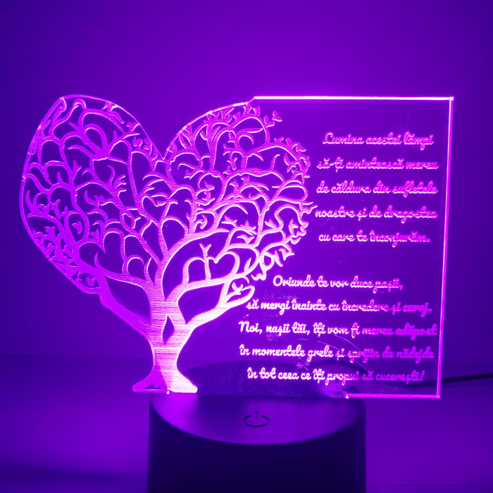 lampa-3d-pentru-fini-cadou-nasi-16-culori.webp [9]