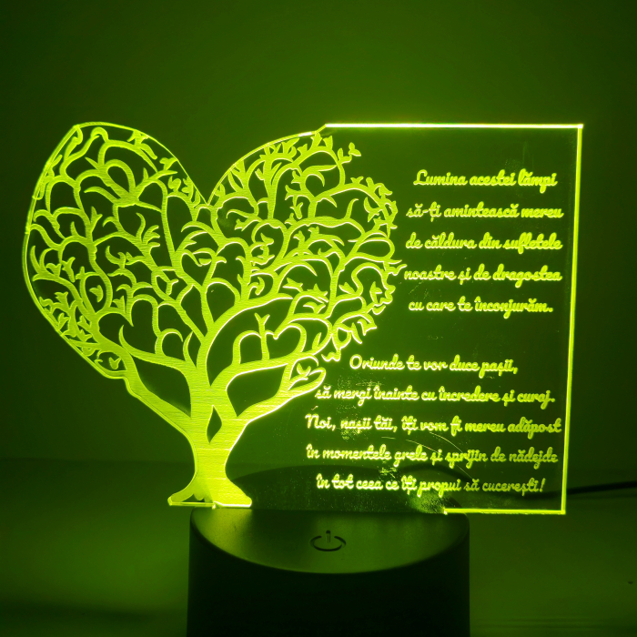 lampa-3d-pentru-fini-cadou-nasi-16-culori.webp [7]