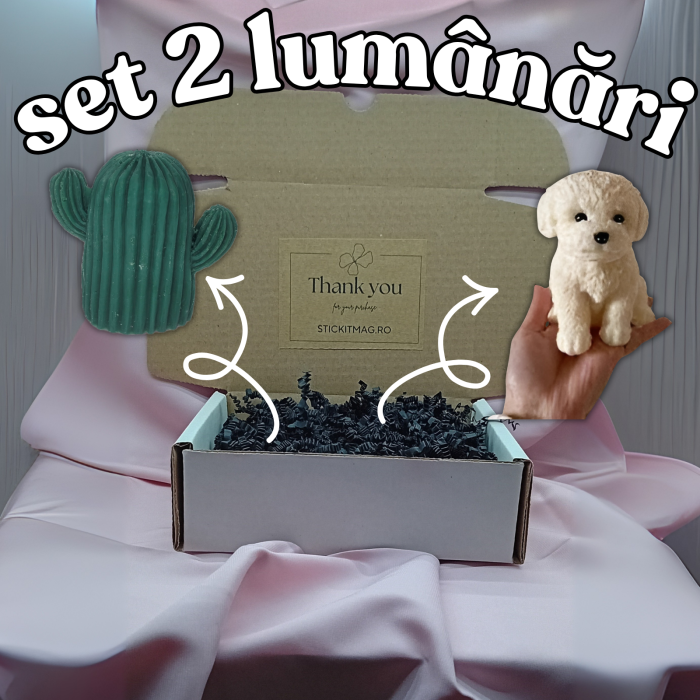set-lumanari-parfumate-catel-pictat-manual-si-cactus-stickitmag [1]