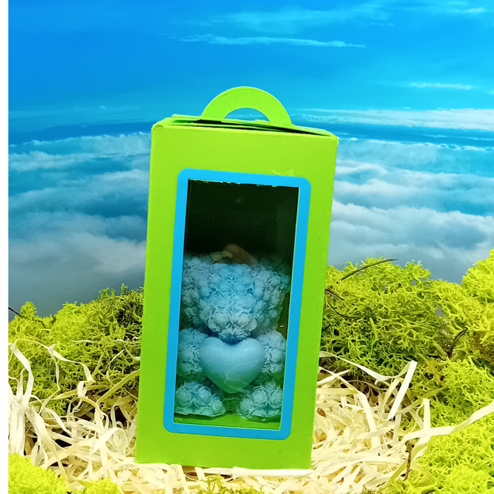 Cutie Din Carton Dreptunghiulara Cu Fereastra Si Agatatoare 10,9x 6 CM [7]