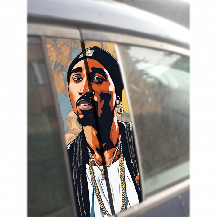 sticker-auto-rapper-stalpi-usi-folie-oracal-tuning [1]