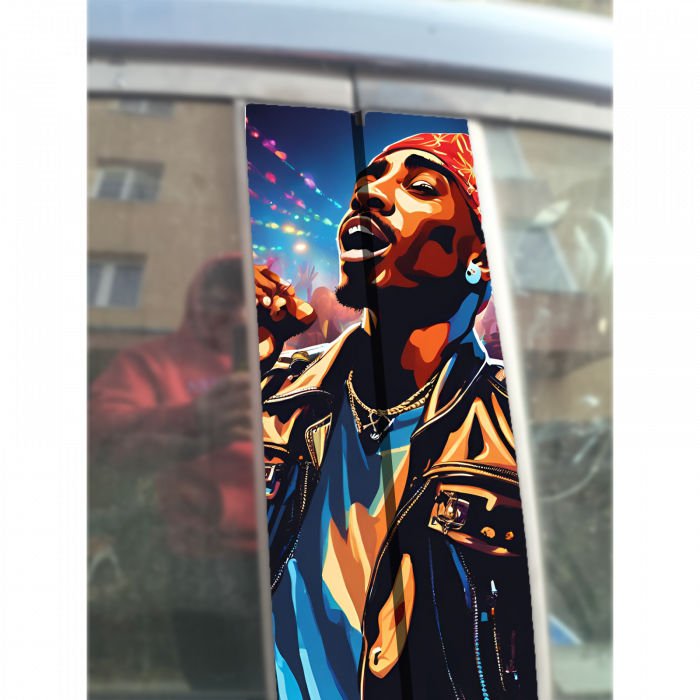 sticker-auto-rapper-3-stalpi-usi-folie-oracal-tuning [1]