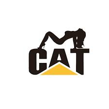 sticker-cat-masina-lady-folie-oracal.jpg [1]