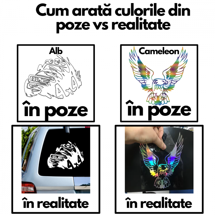 sticker-ford-gang-folie-oracal-autoadeziv.jpg [2]