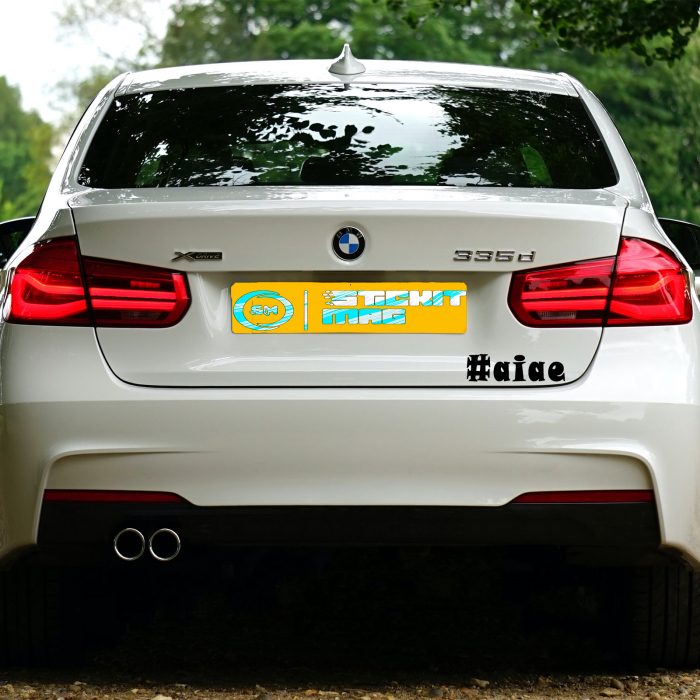 sticker-aiae-autocolant-personalizat-oracal.jpg [1]
