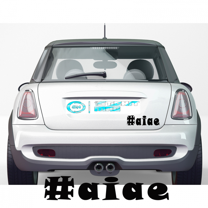 sticker-aiae-autocolant-personalizat-oracal.jpg [2]