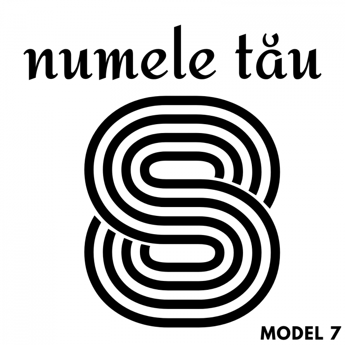 stickere-termoadezive-nume-numar-tricou-stick-it-mag [9]