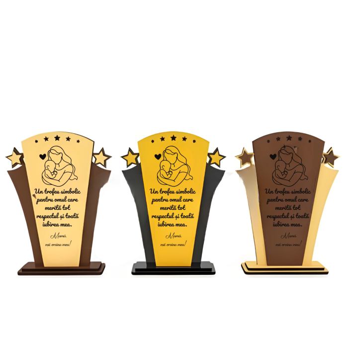 trofeu-tricou-personalizat-pentru-mama-premium-awards.jpg [2]