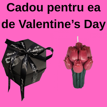 Cadouri Unice Premium - cadou-valentines-day-pentru-ea-24-poze-lumanare-lalele.html