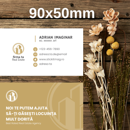 Cărți de vizită - carti-de-vizita-model-9-agent-imobiliar