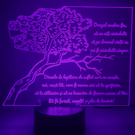 lampa-3d-pentru-fin-cadou-nasi-16-culori.webp [2]