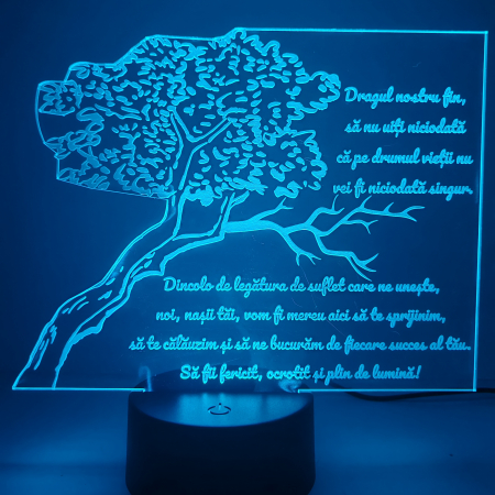 lampa-3d-pentru-fin-cadou-nasi-16-culori.webp [8]