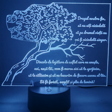 lampa-3d-pentru-fin-cadou-nasi-16-culori.webp [9]