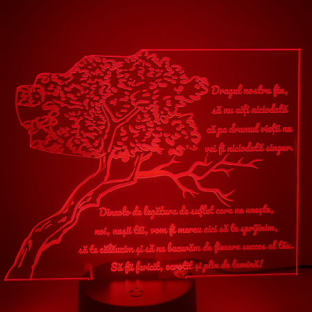 lampa-3d-pentru-fin-cadou-nasi-16-culori.webp [4]
