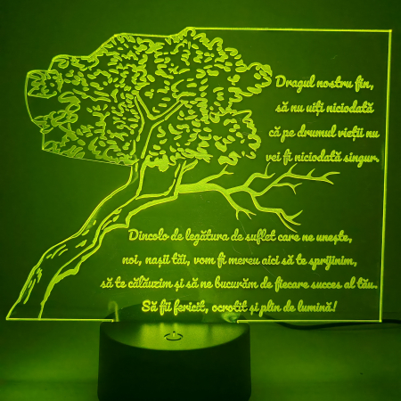 Lampă 3D - lampa-3d-pentru-fin-cadou-nasi-16-culori.webp