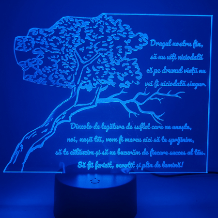 lampa-3d-pentru-fin-cadou-nasi-16-culori.webp [7]