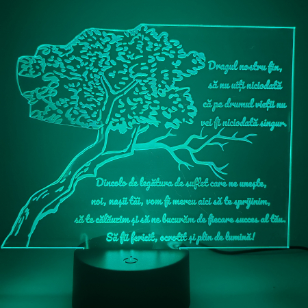 lampa-3d-pentru-fin-cadou-nasi-16-culori.webp [5]