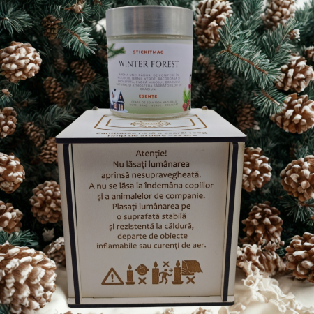 lumanare-parfumata-winter-forest-esente-100g.jpg [2]