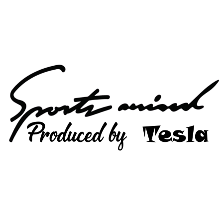 set-stickere-auto-sport-mind-tesla-oglinzi-negru-alb [1]