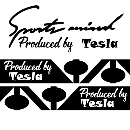 Stickere Auto și Moto – Autocolante Premium - set-stickere-auto-sport-mind-tesla-oglinzi-negru-alb