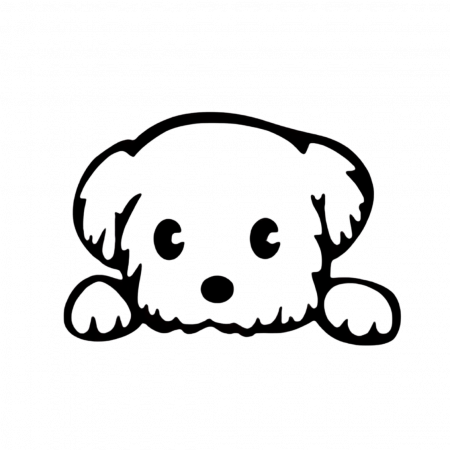 Audi - sticker-auto-catel-folie-oracal.jpg
